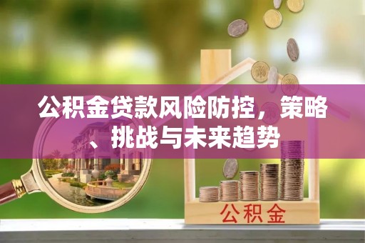 龙里公积金贷款风险防控，策略、挑战与未来趋势